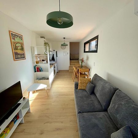 Bel Appartement A Ceret Luaran gambar