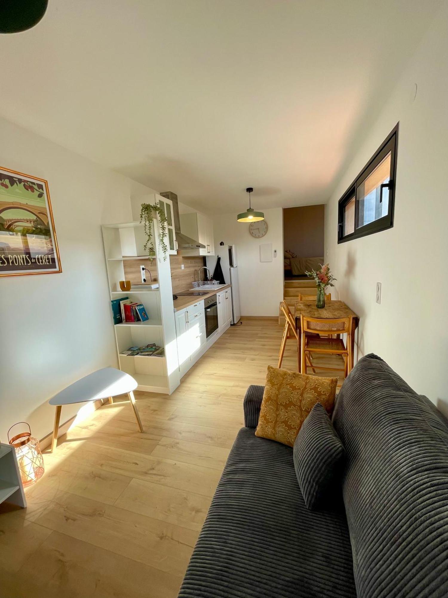 Bel Appartement A Ceret Luaran gambar